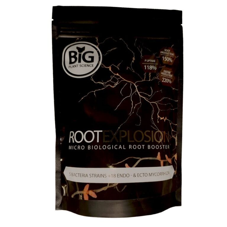 Root-explosion-bps1-1