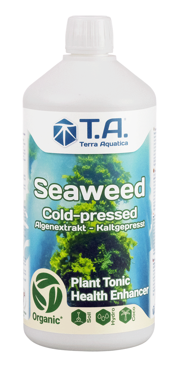 seaweed-t.a