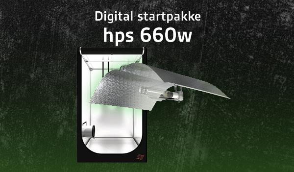 Digital-startpakke-reflektor-1
