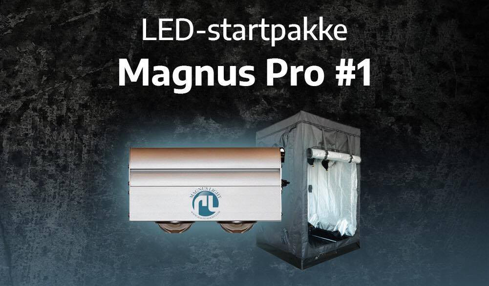 LED Startpakke – Magnus pro nr. 1