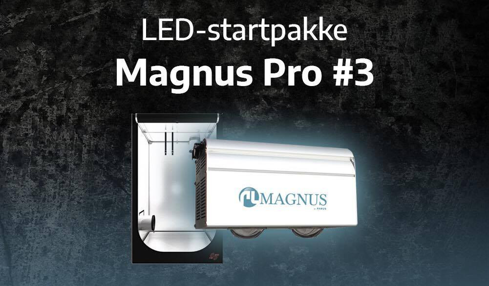 LED- Startpakke Magnus pro nr.3