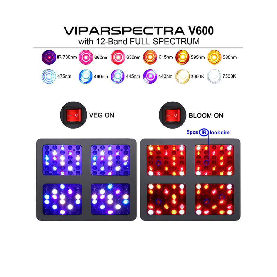 V600 viparspectra