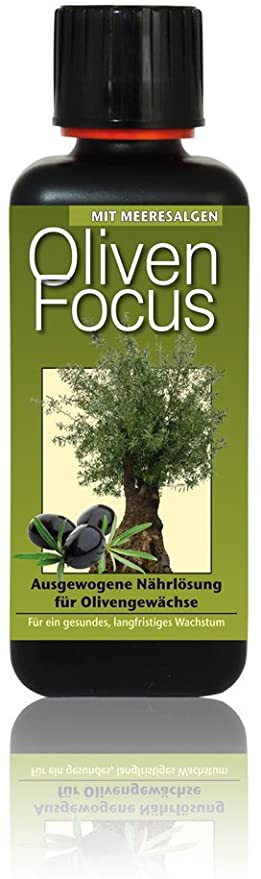 olive-focus-goedning-1