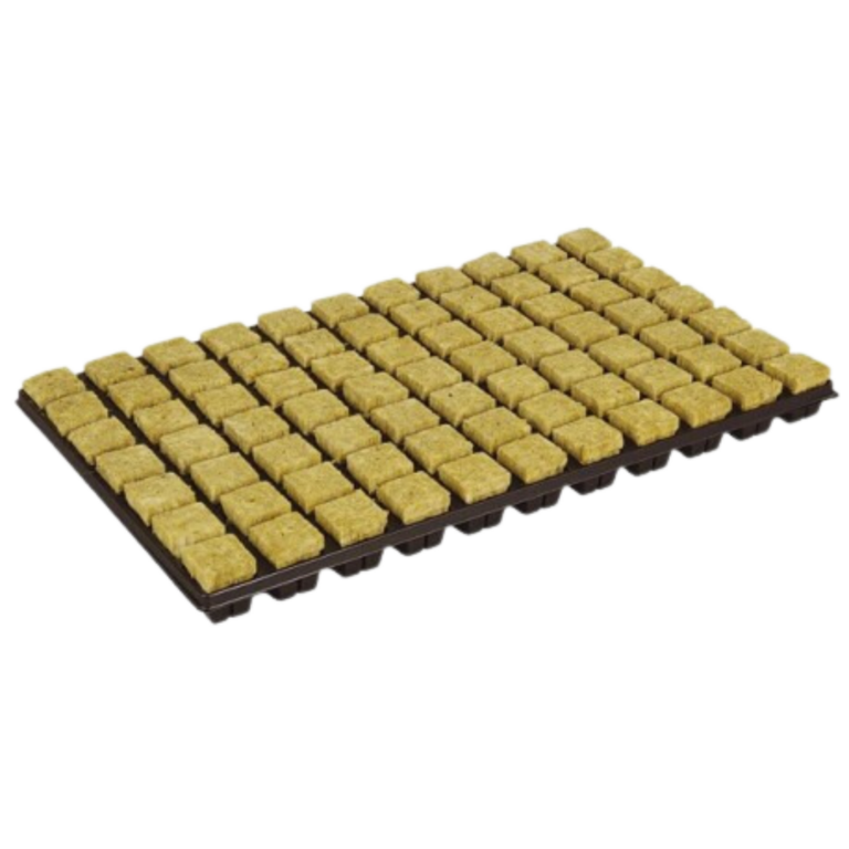 Grodan Rockwool Trays 77stk