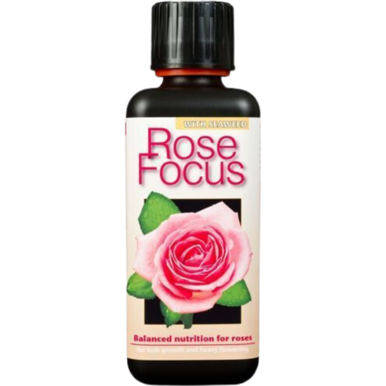 Growth Technology – Rose Focus