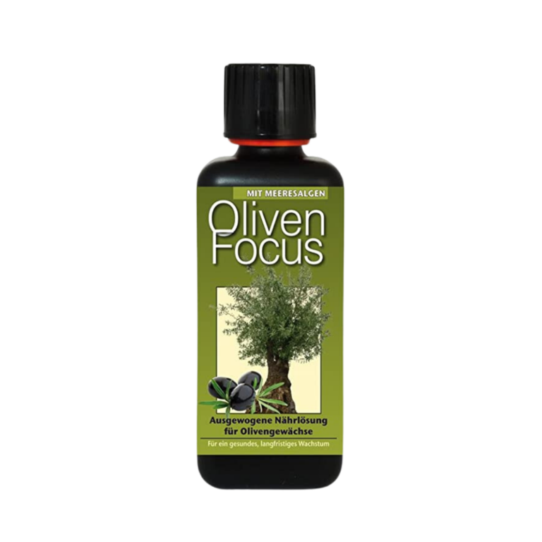 Oliven fokus 1L