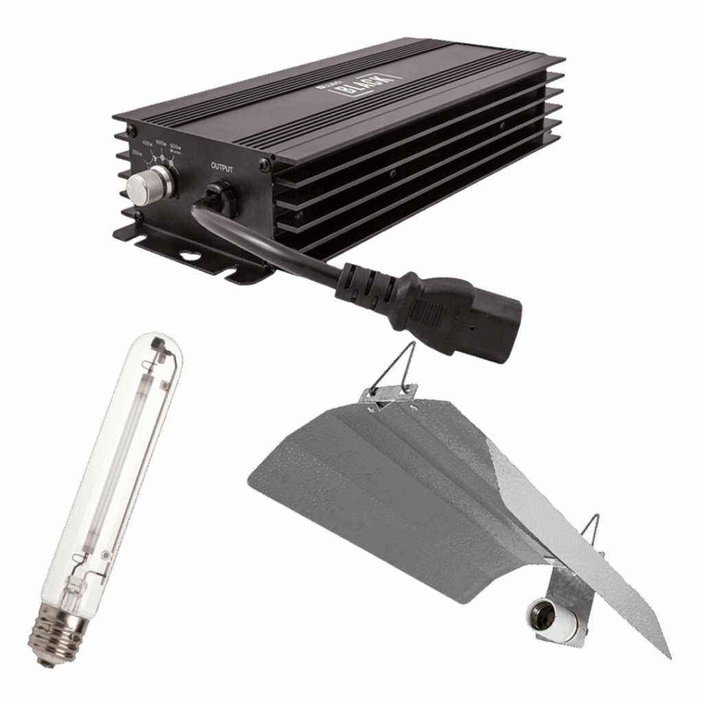 600w Digital kit