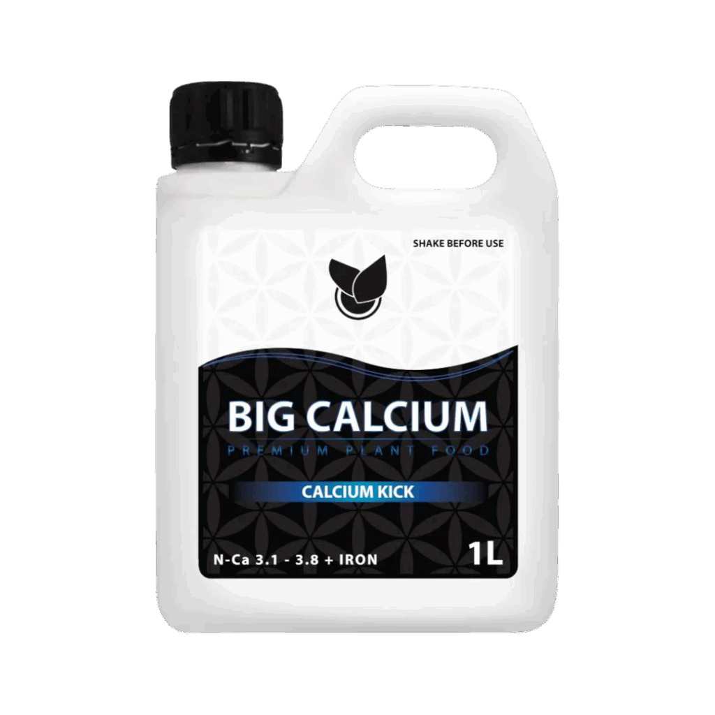 BIG CALCIUM