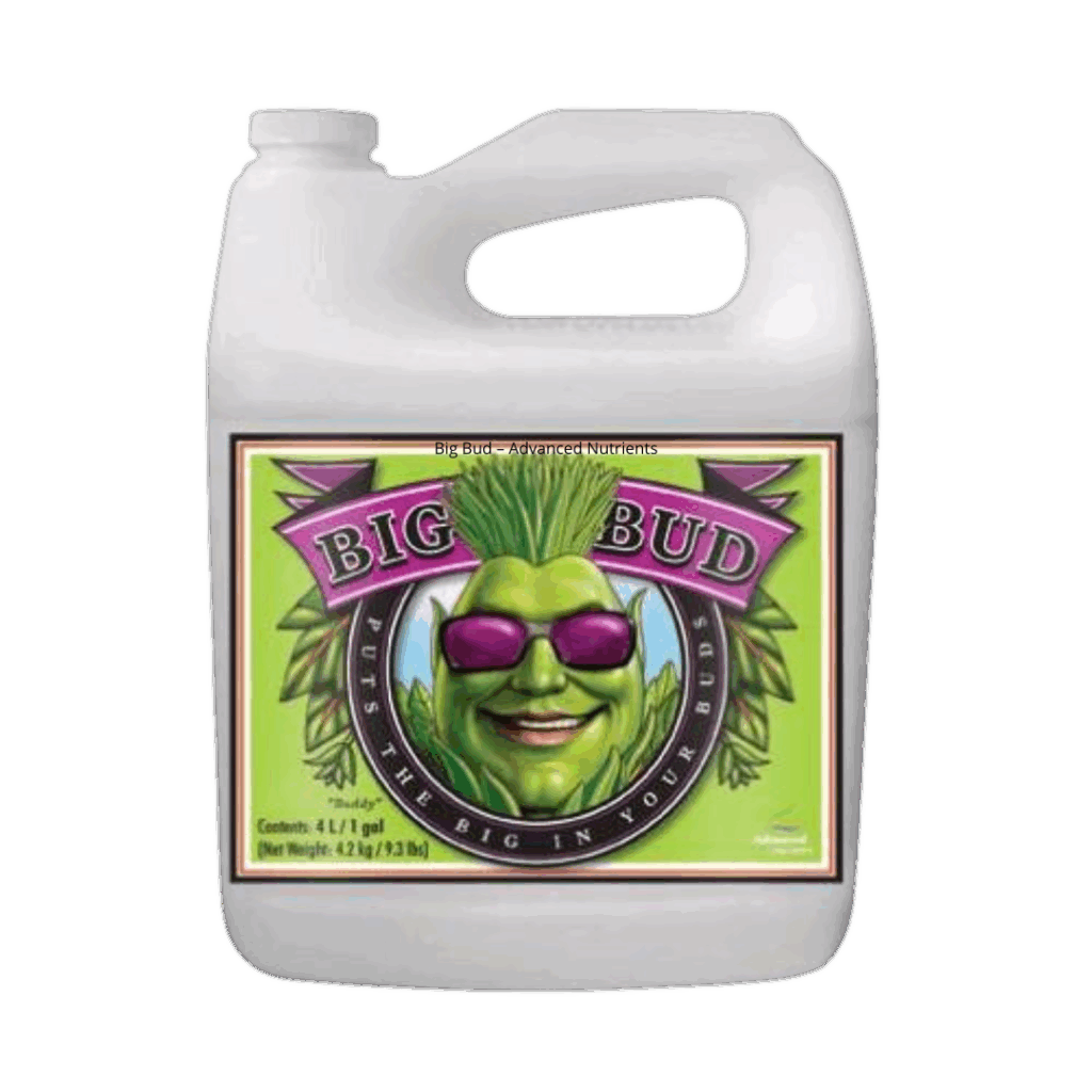 Big Bud - Advanced Nutrients