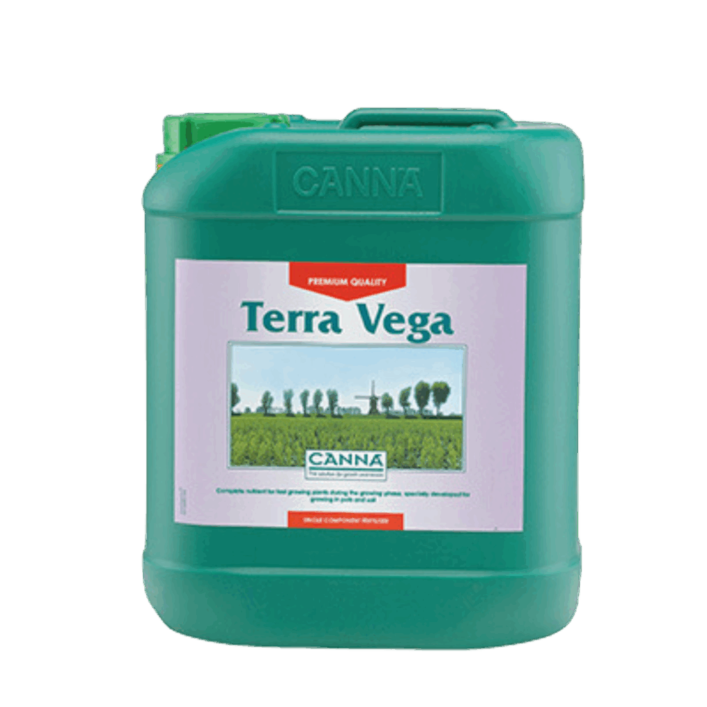 Canna Terra Vega