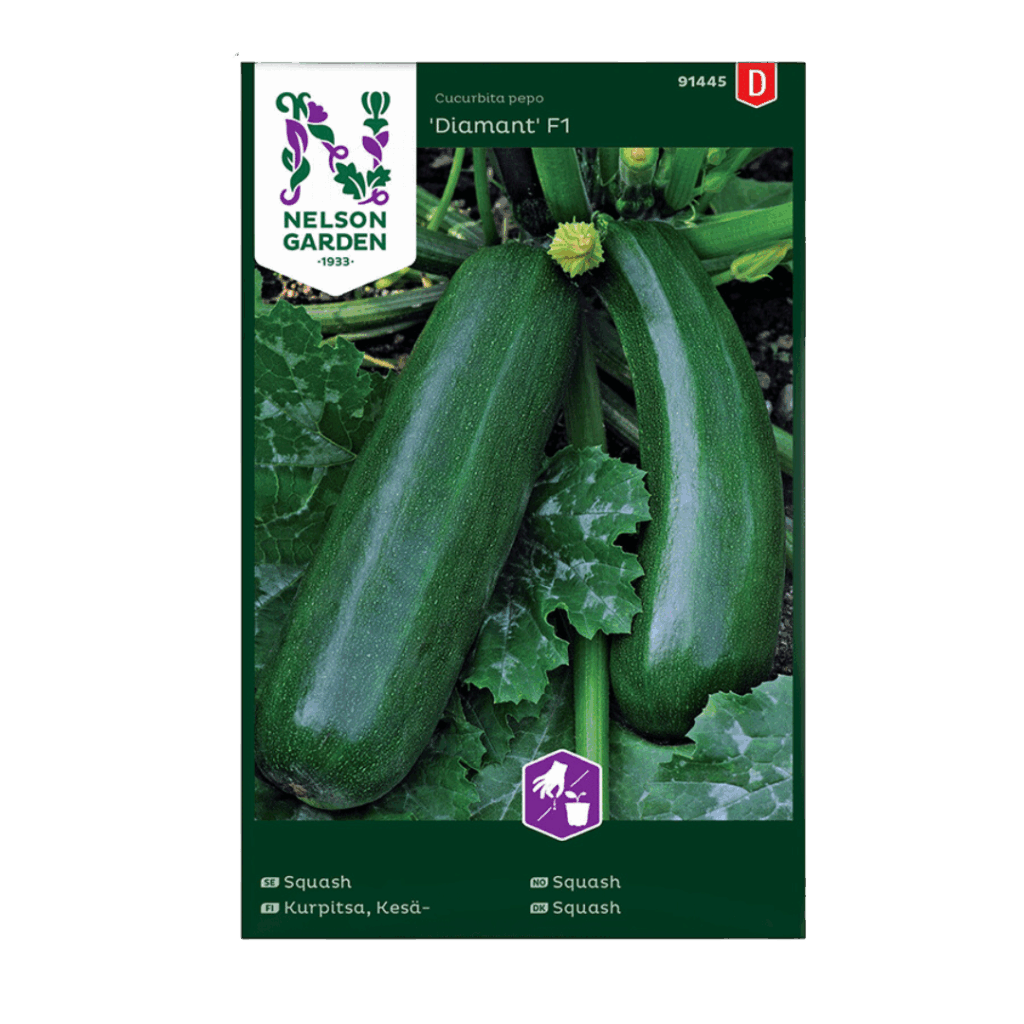 Diamant (Squash)