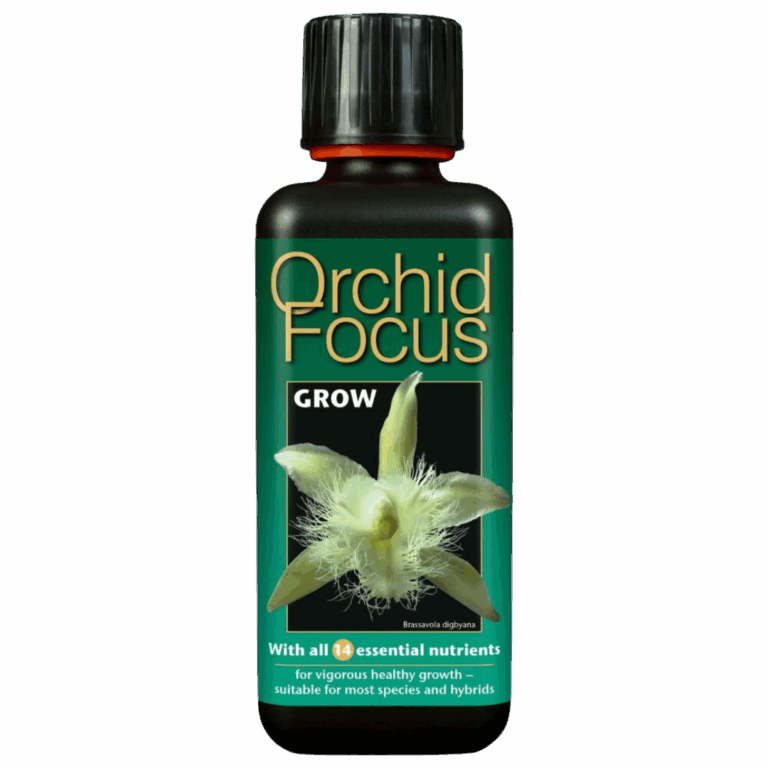 Growth-Technology-–-Orkide-Focus