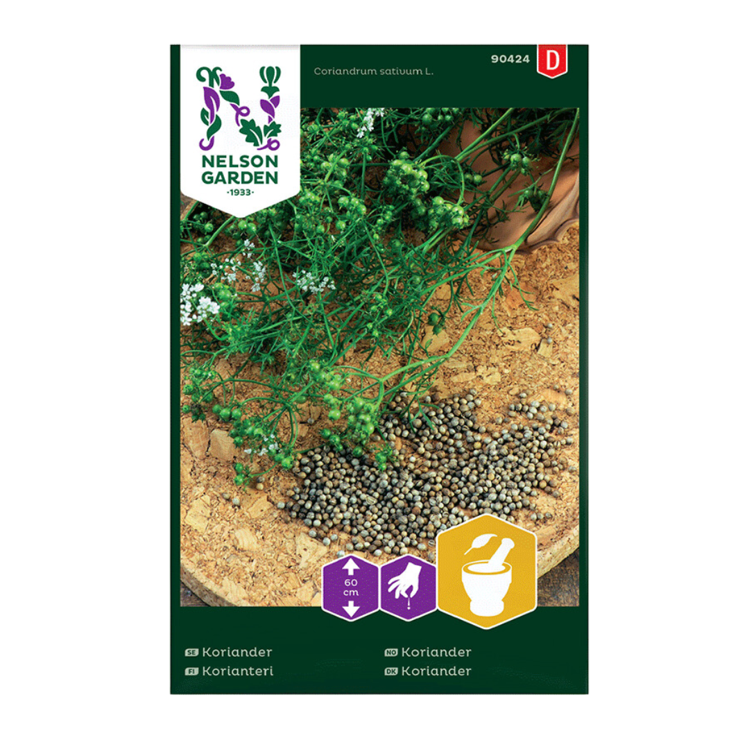 Koriander.png