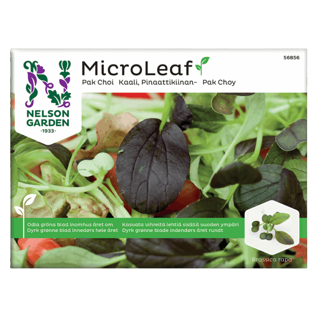 Pak choi spirer