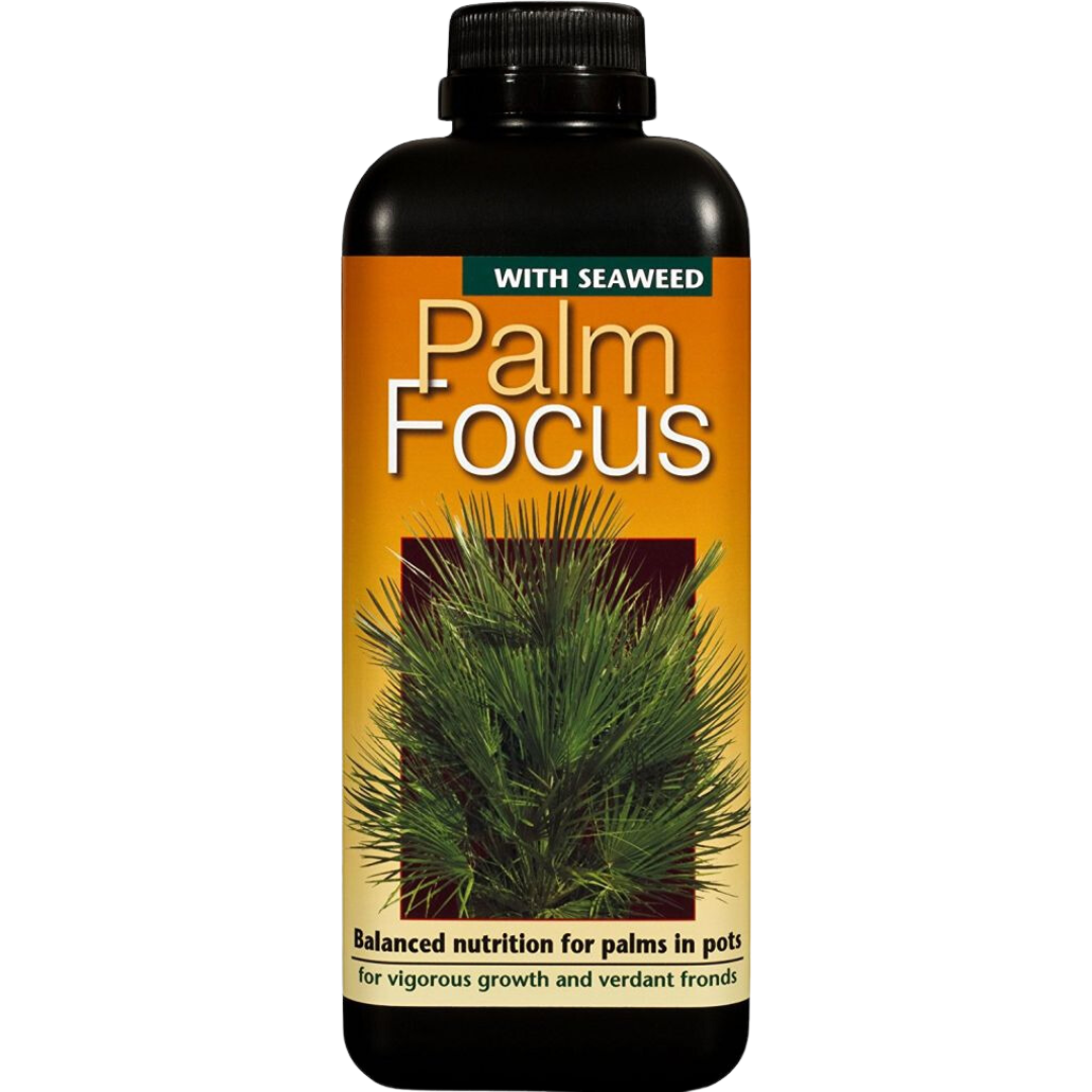 Palm-Focus-1L.png