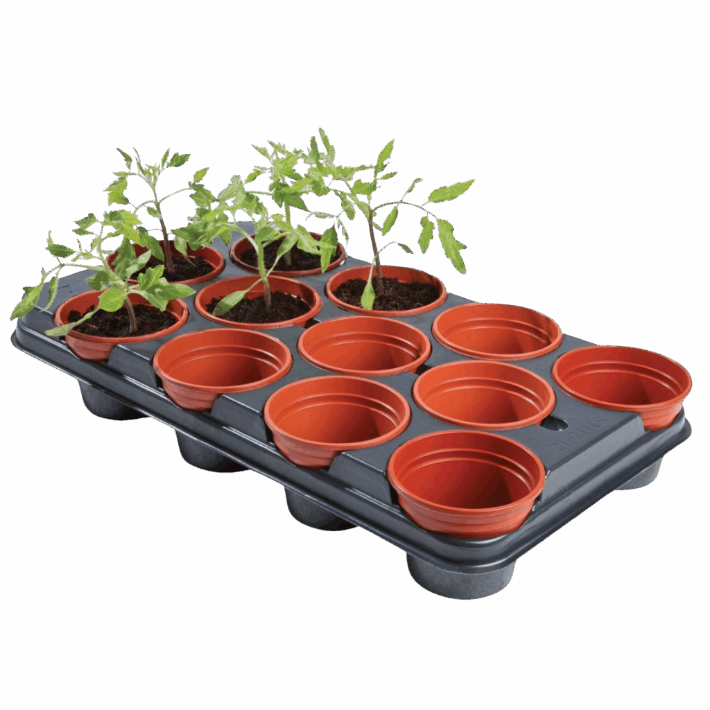 Professional frø og såbakke 12x 11cm potter