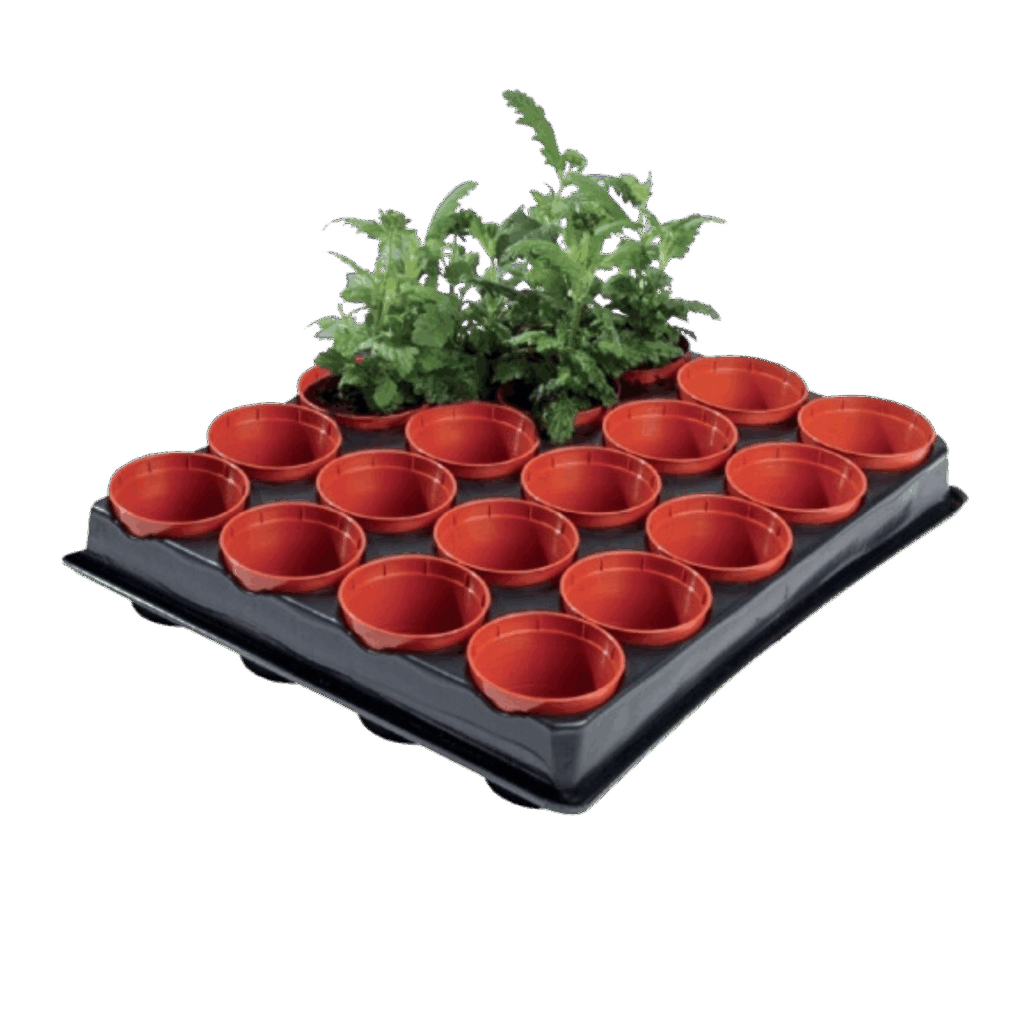 Professionel frø og så bakke -  20 x 6 cm potter