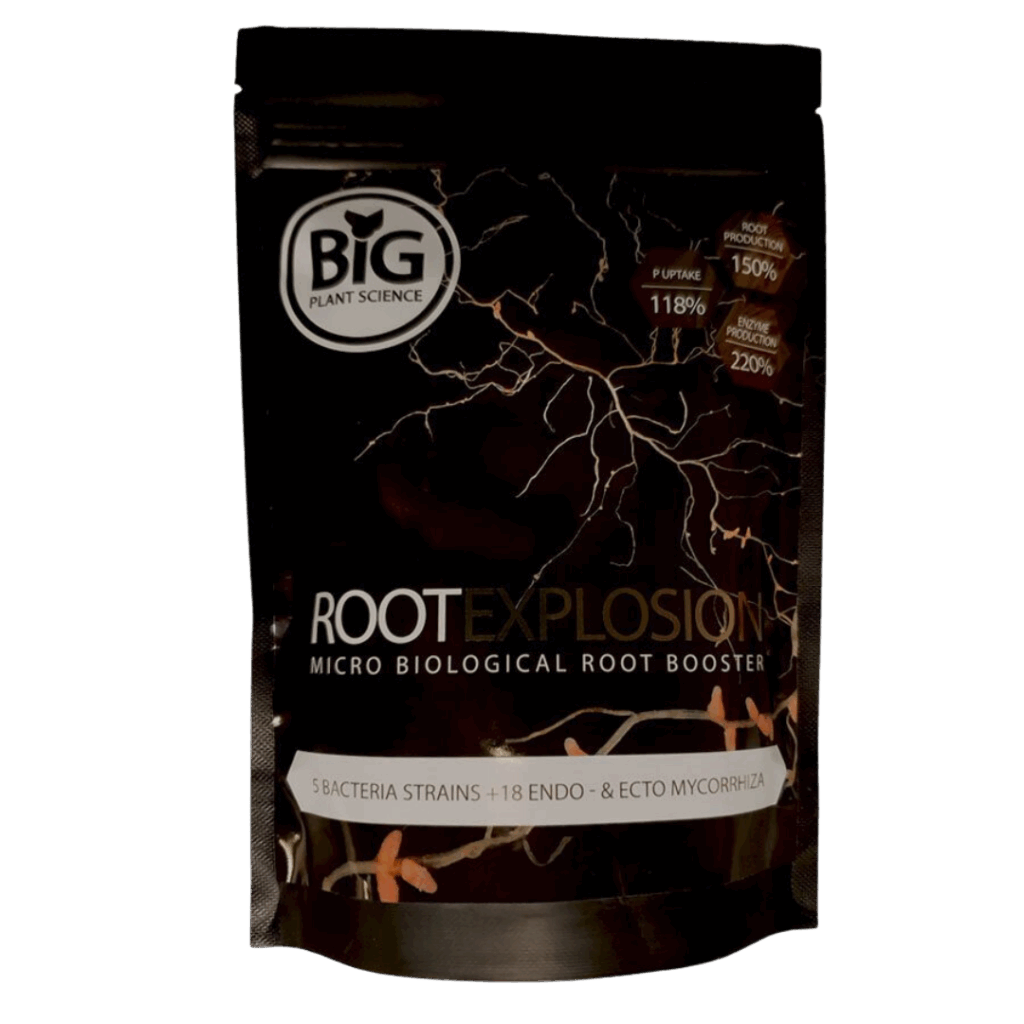 ROOT EXPLOSION - Big Plant Sceince