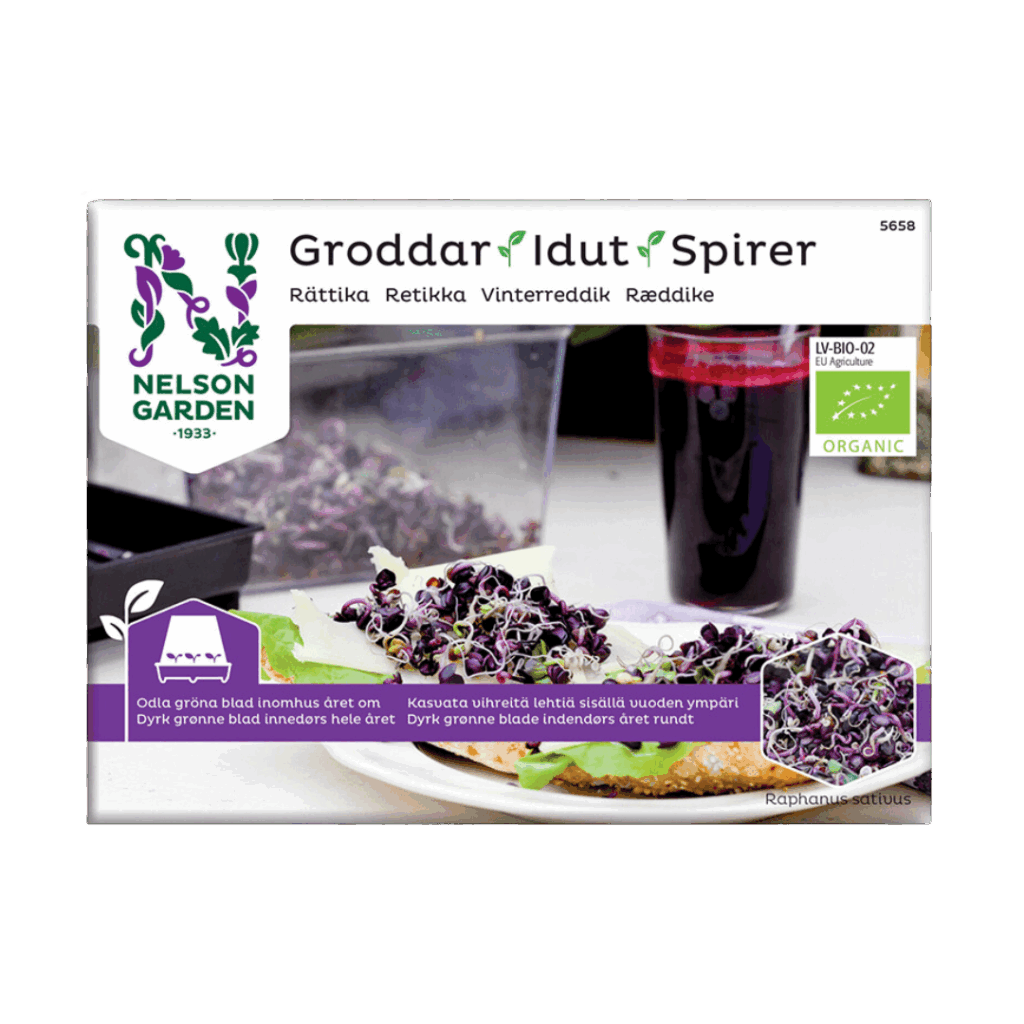 Ræddike Spirer
