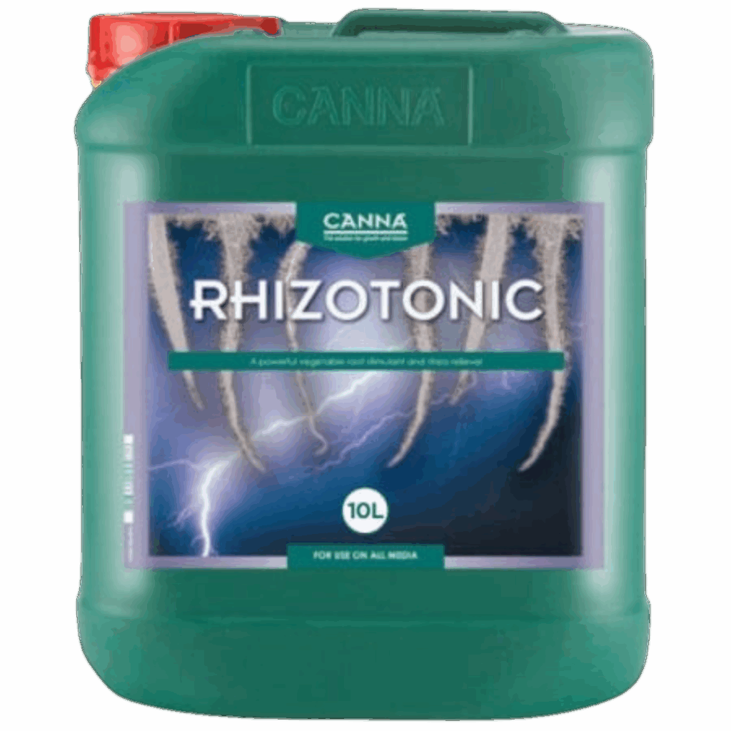 Rhizotonic