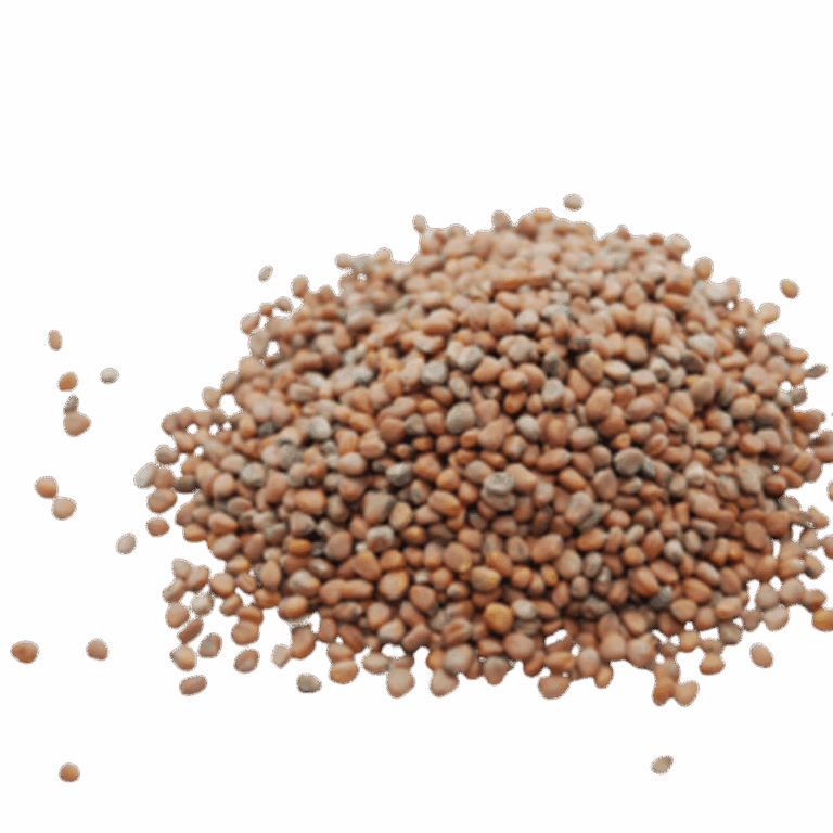 Rosenradise