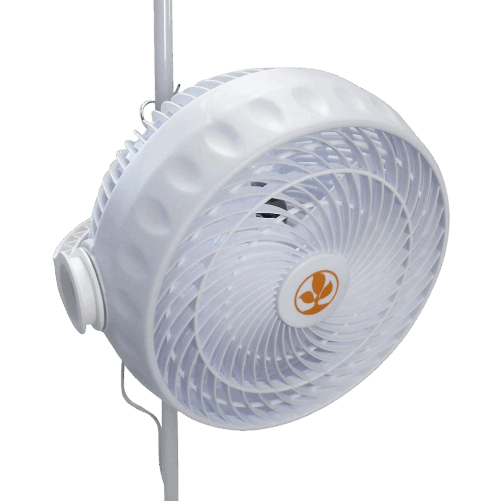 SECRET JARDIN - MONKEY FAN 30w