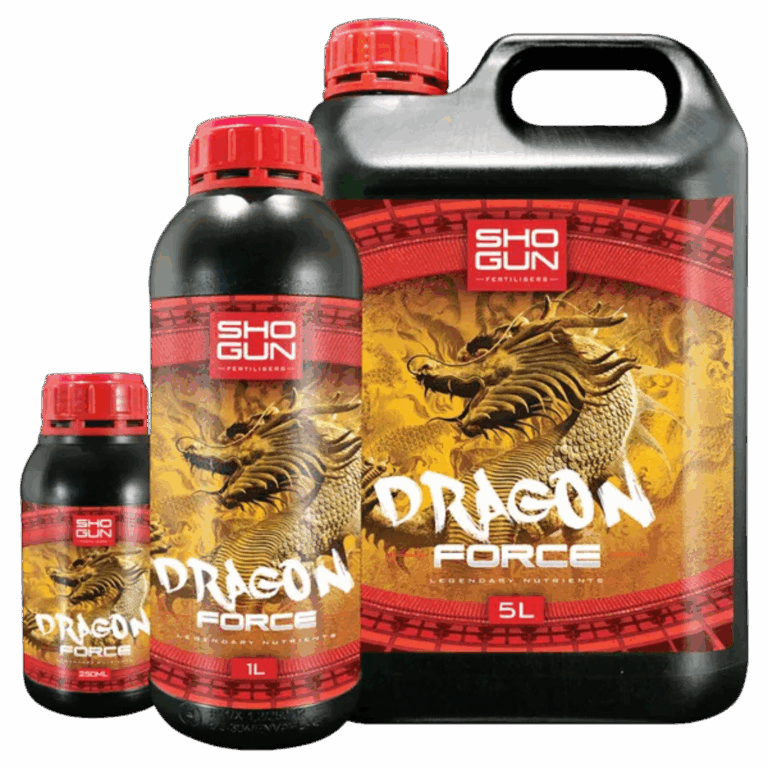 SHOGUN-–-Dragon-Force