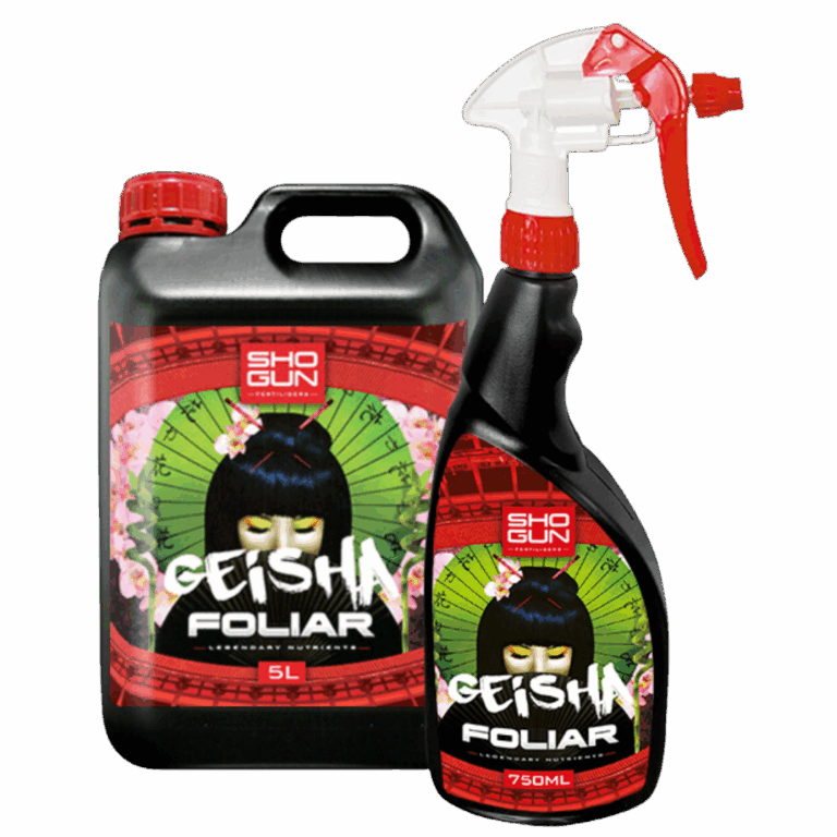 SHOGUN-–-Geisha-Foliar
