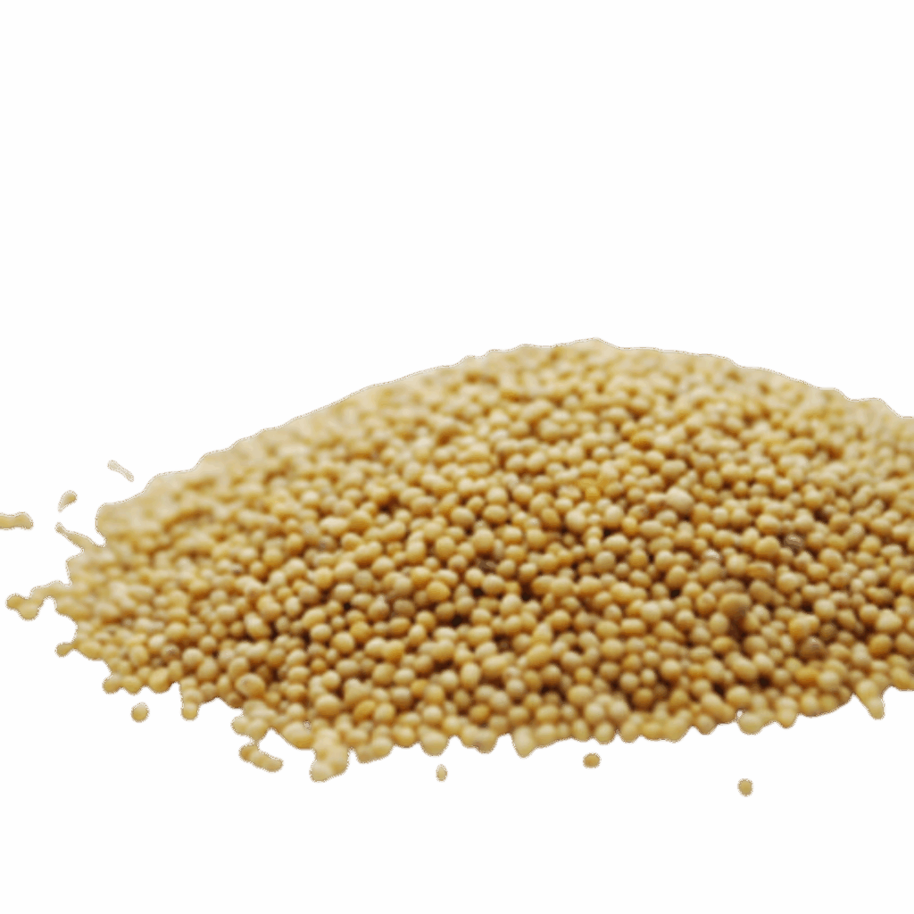 Sennep