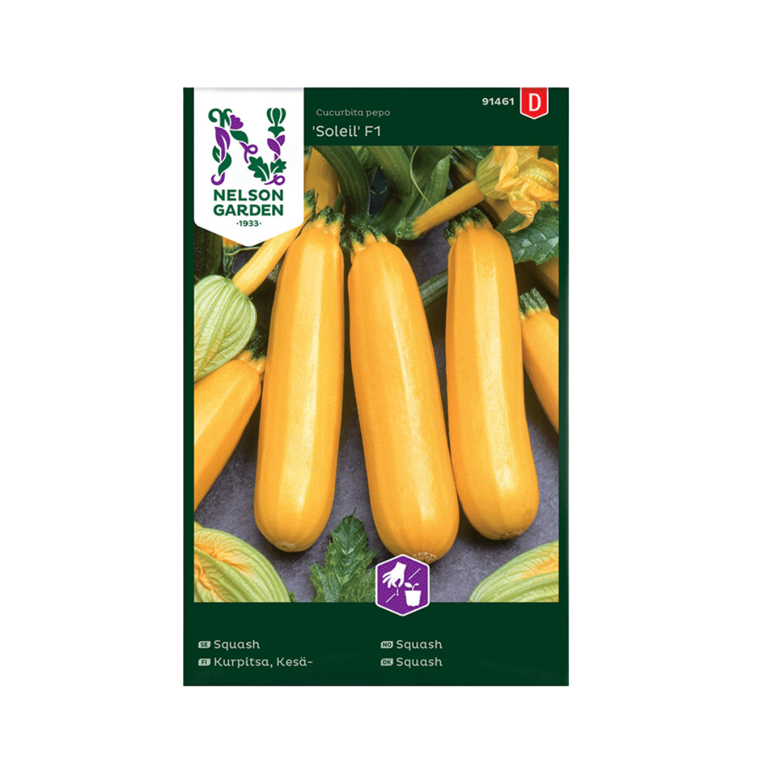 Soleil-Squash.png