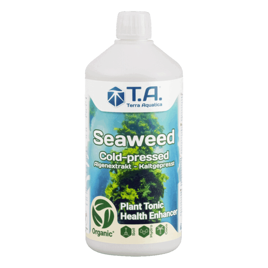Terra Aquatica - Seaweed