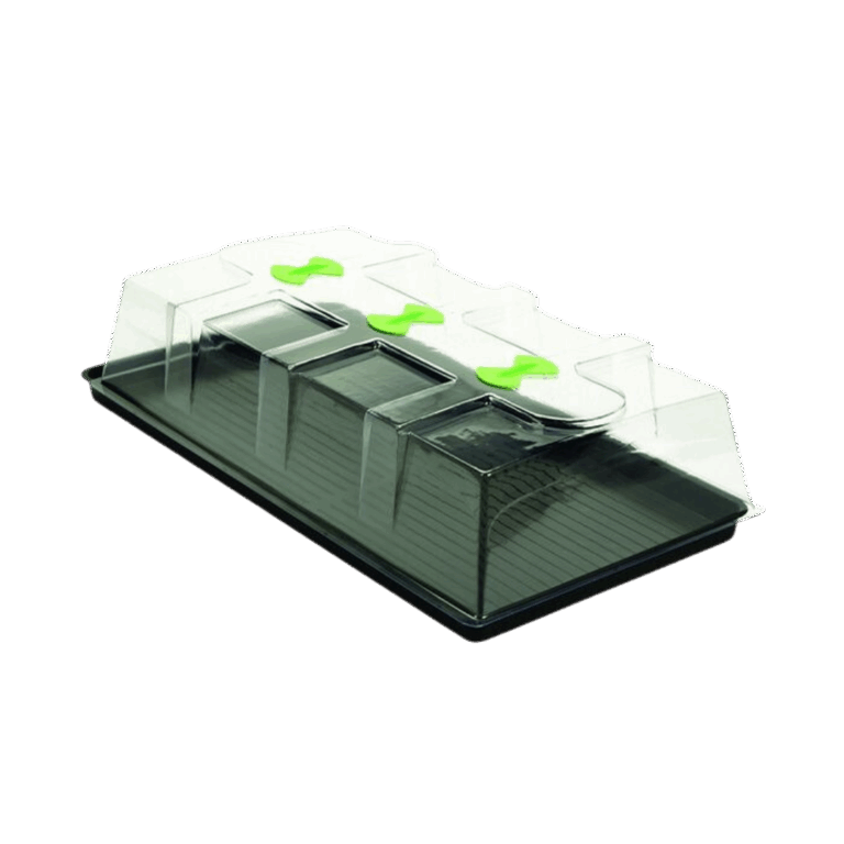 X-Stream-Basic-Propagator