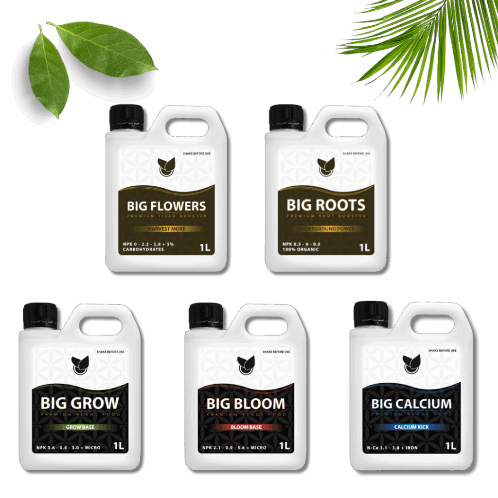 Komplet Basic Kit  - Big Plant Science