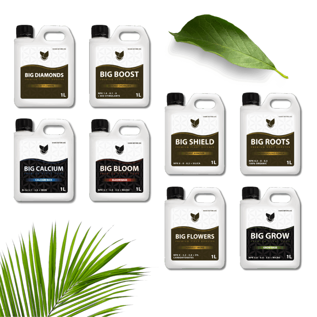 Komplet Premium Kit  - Big Plant Science