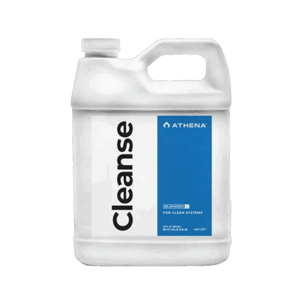 Cleanse