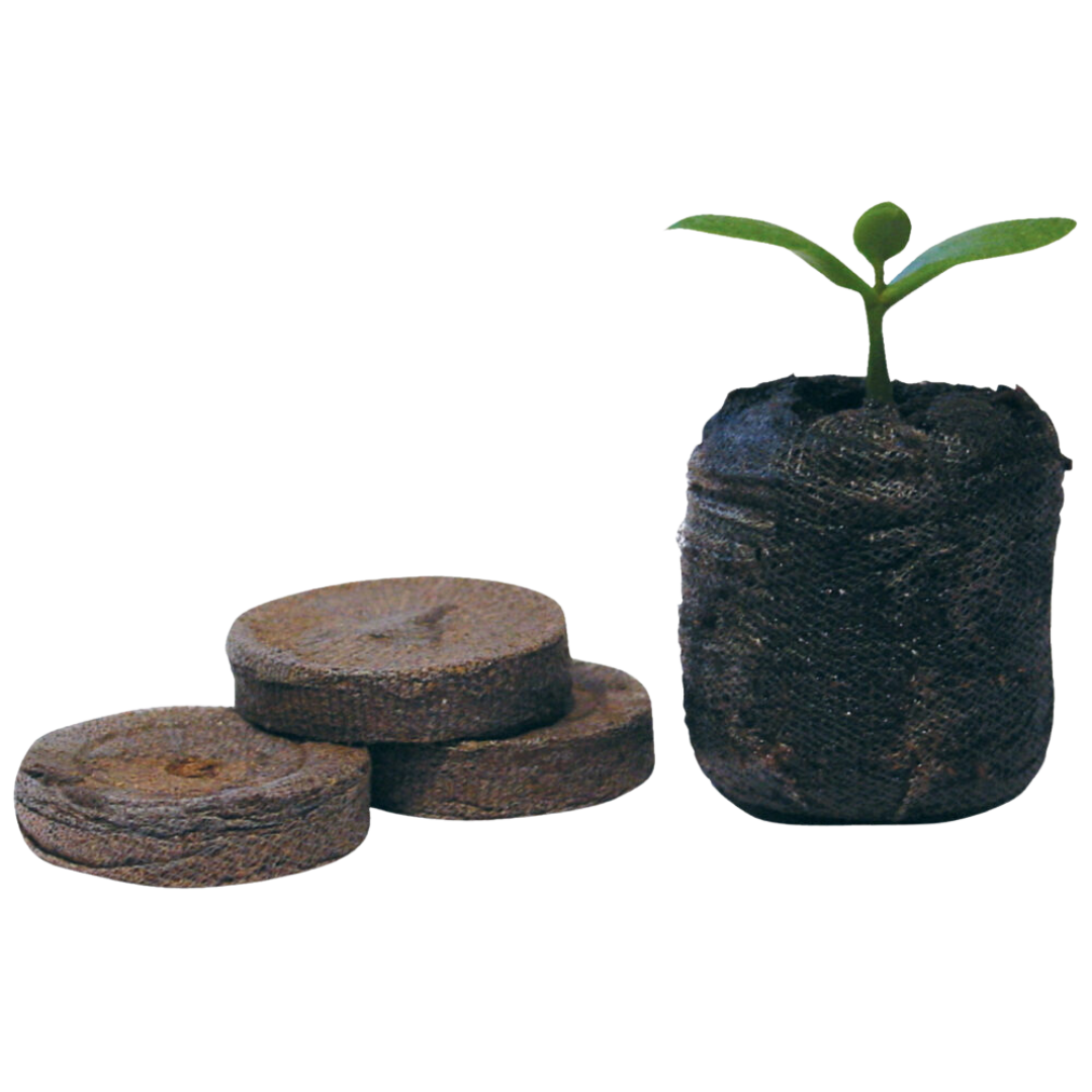 Jiffy-coco-plugs-1-stk.png