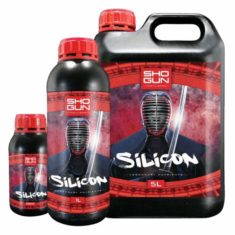 SHOGUN-–-Silicium
