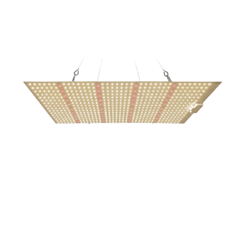 Ledlys vækst og blomst – 240W