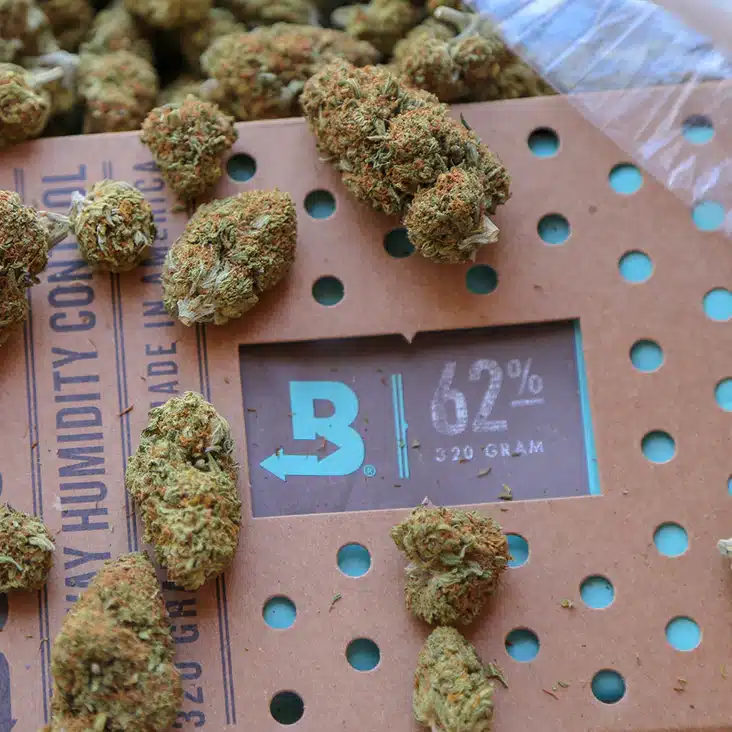 B62-320_17-APP2_732x732_crop_center