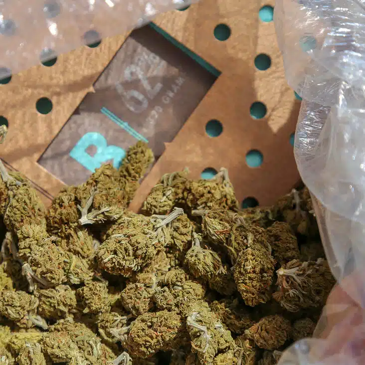 B62-320_17-APP3_732x732_crop_center