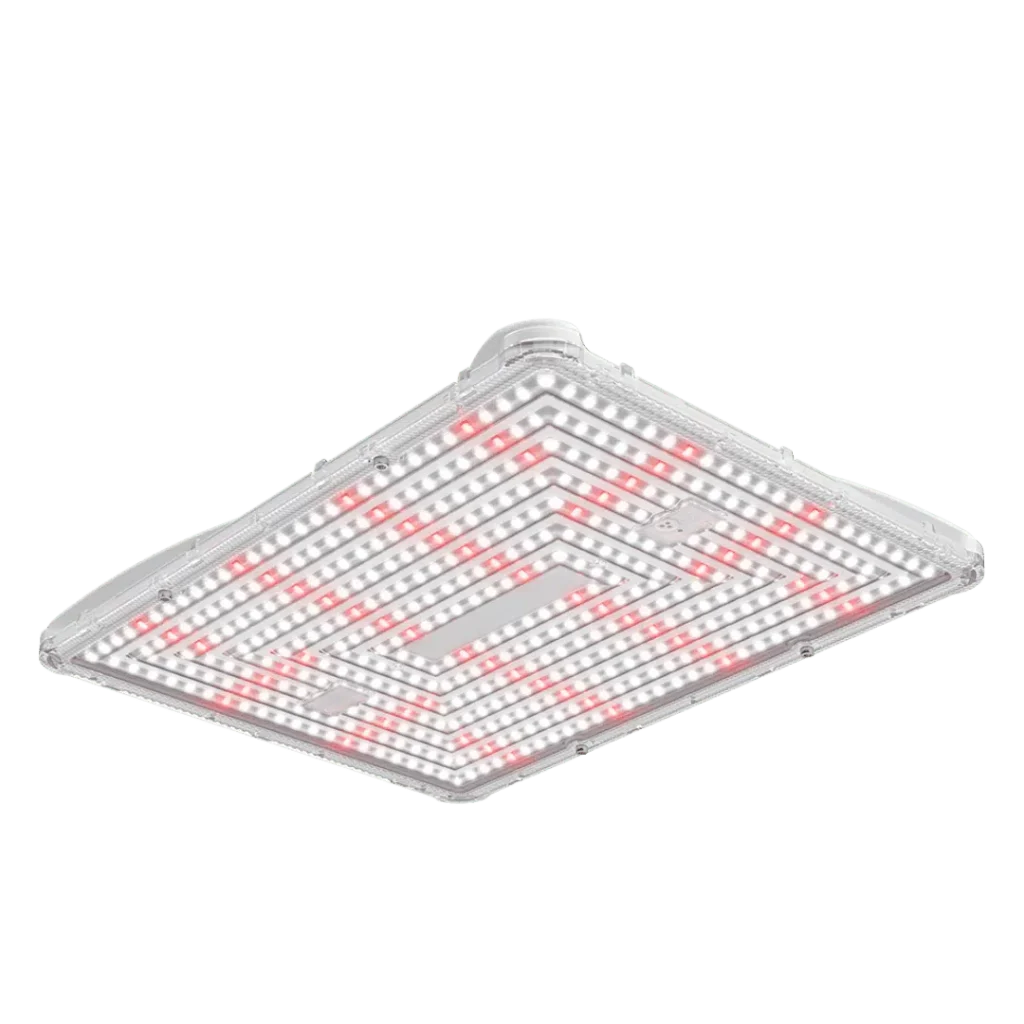 Samsung Board - 3,01umol - Secret Jardin