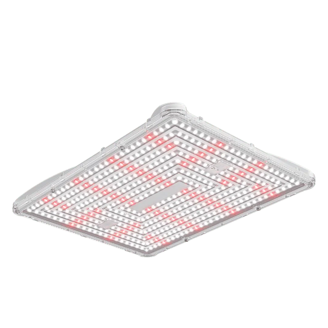 Power-Pack-125-250w-301umol-–-Secret-Jardin