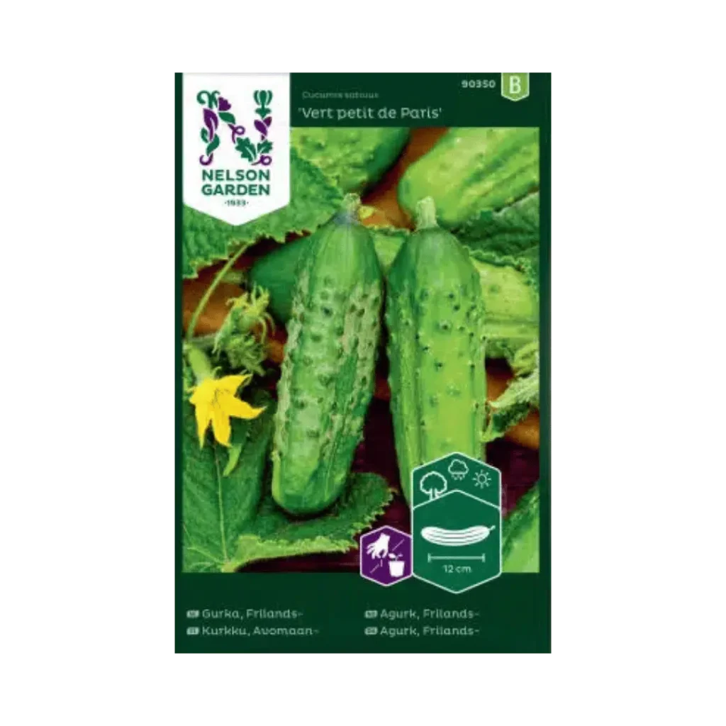 Drueagurk 'Vert petit de Paris'