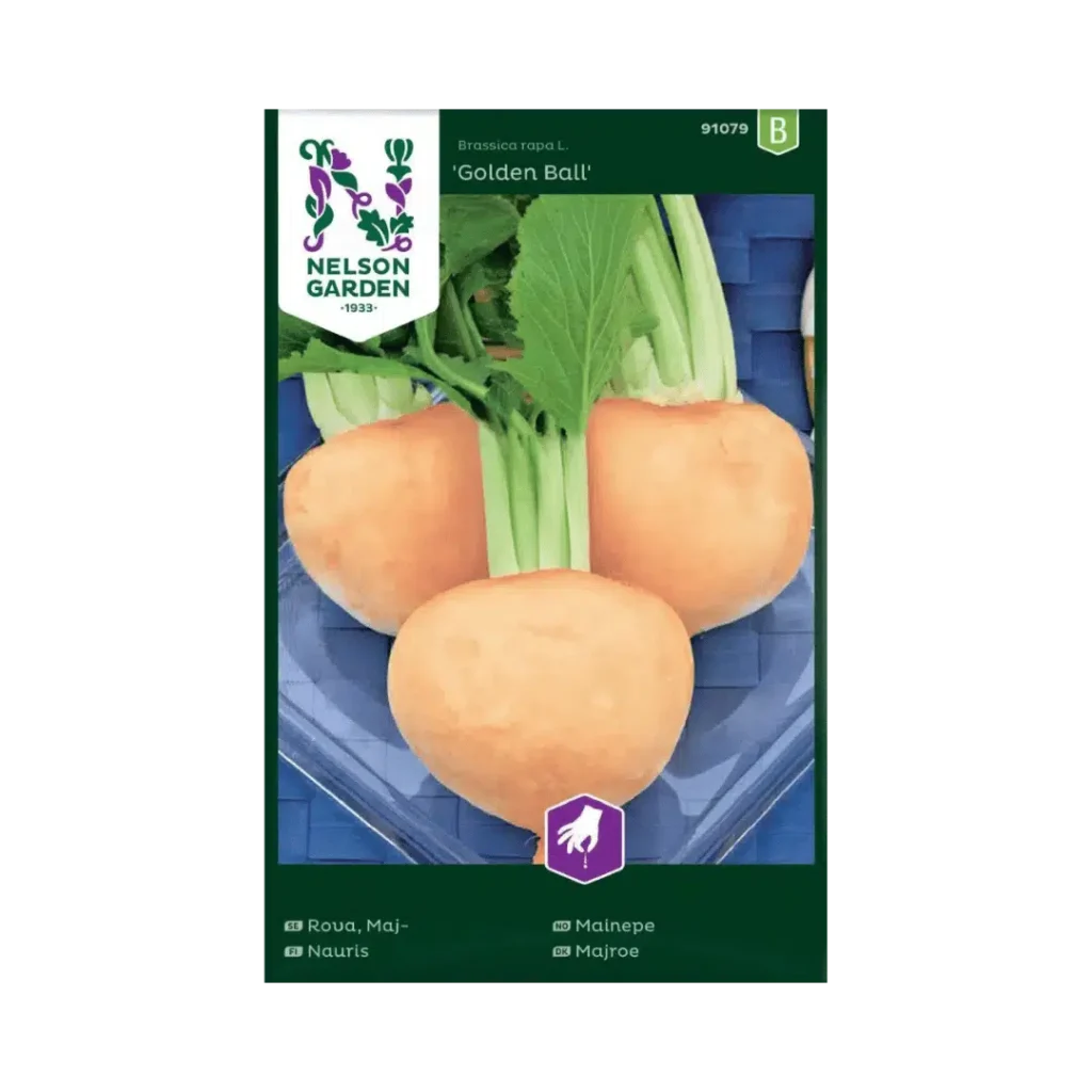 Majroe ‘Golden Ball’