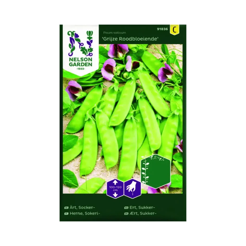 Sukkerært – Grijze Roodbloeiende