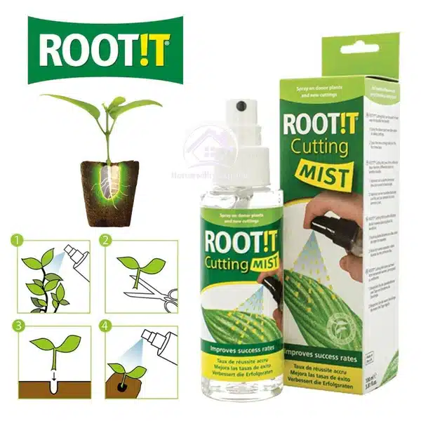 root2