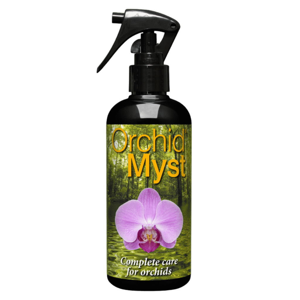 Orkide Myst