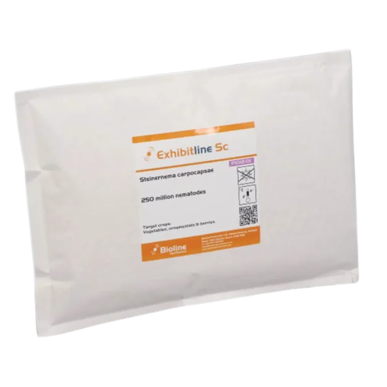 NematoderEXHIBITLINE-PH-3mio-–-mod-snegle