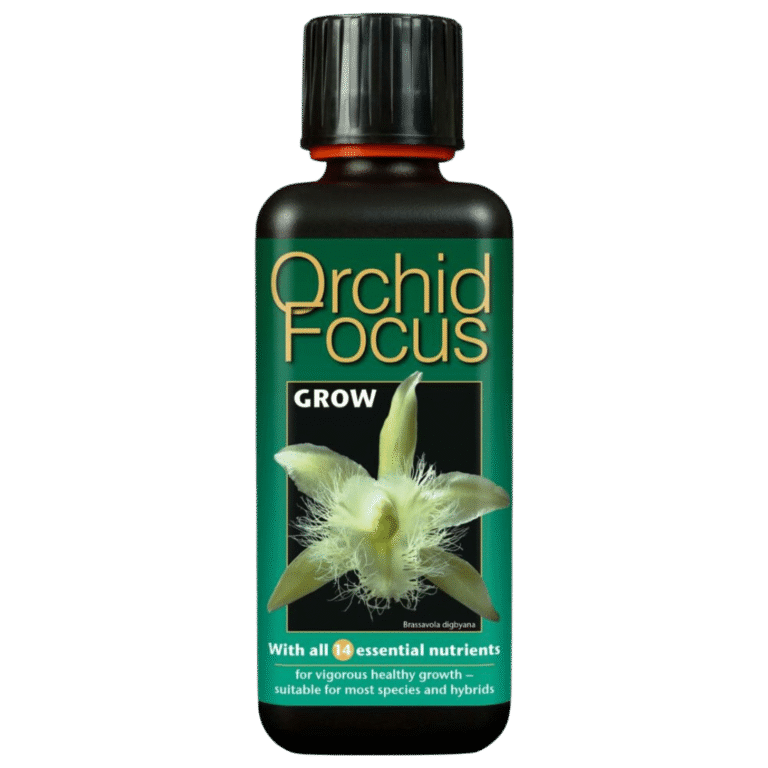 Growth-Technology-–-Orkide-Focus