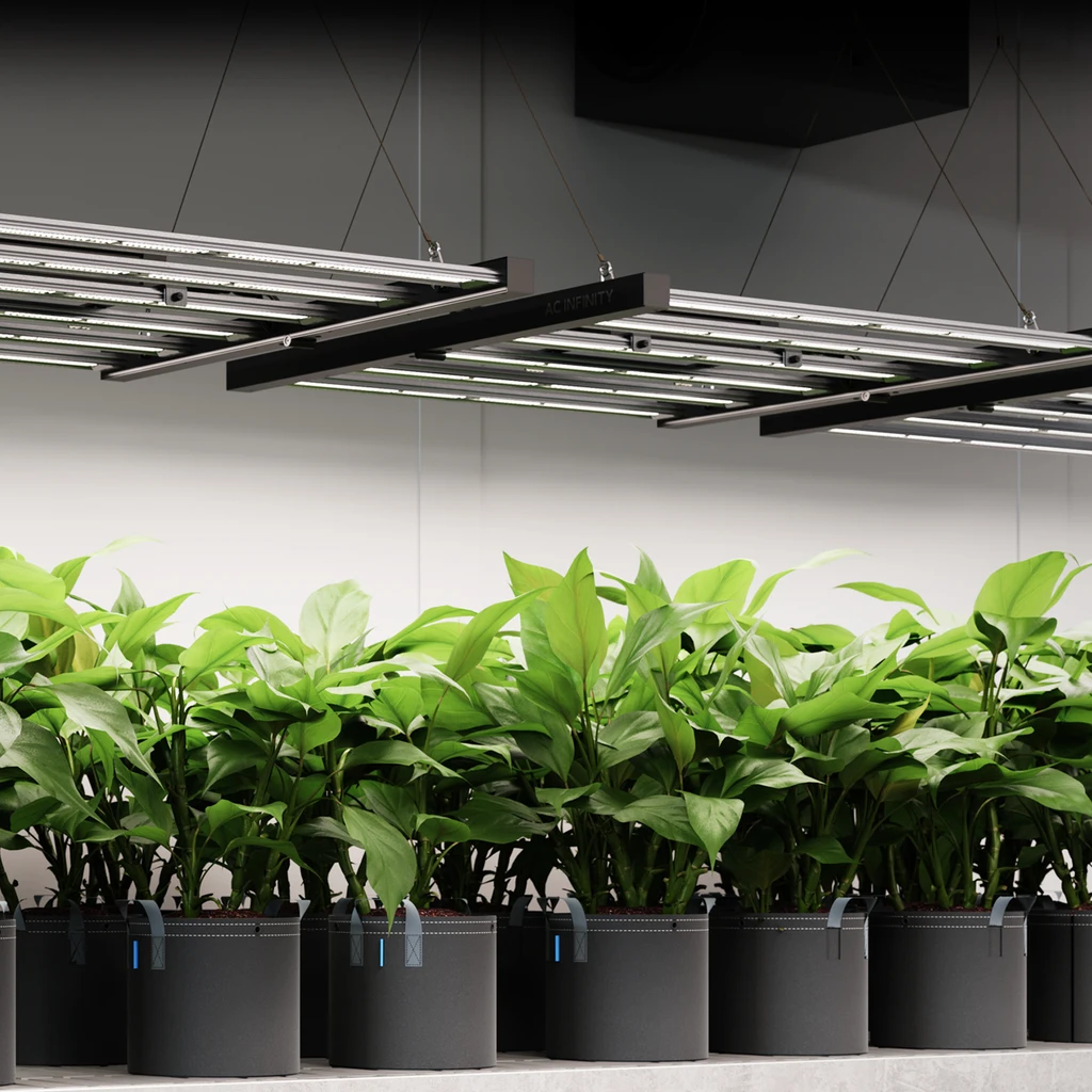 IONFRAME_EVO4_LED_DE_SP7__07506